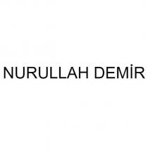 nurullah demir