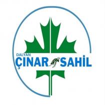 dalyan çınar sahil