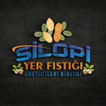 silopi yer fıstığı üreticileri birliği