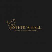 estetica hall plastic surgery in istanbul
