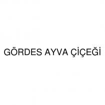 gördes ayva çiçeği