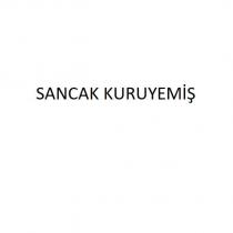 sancak kuruyemiş