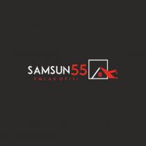 samsun 55 emlak ofisi