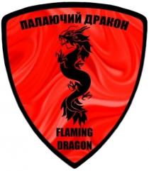 flaming dragon