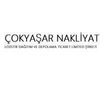 çokyaşar nakliyat lojistik dağıtım ve depolama ticaret limited şirketi