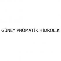 güney pnömatik hidrolik