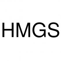 hmgs