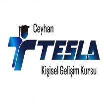 ceyhan tesla kişisel gelişim kursu