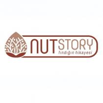 nut story fındığın hikayesi