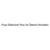 puan elektronik para ve ödeme hizmetleri