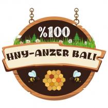 %100 hny anzer balı