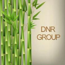 dnr group