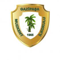 gazipaşa muzkent ilkokulu 1965