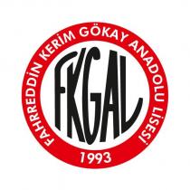 fkgal fahrreddin kerim gökay anadolu lisesi 1993