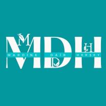 mardine dair herşey mdh