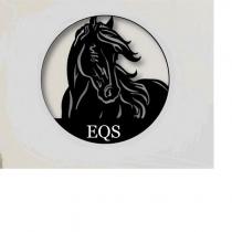 eqs