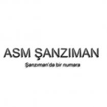 asm şanzıman şanzıman'da bir numara