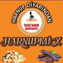 harnup diyarından harnupmix taşeli kadın kooperatifi