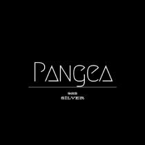 pangea 925 silver