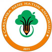 çarşamba nene hatun anaokulu 2011
