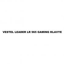 vestel leader lr 965 gaming klavye