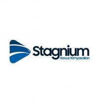 stagnium havuz kimyasalları