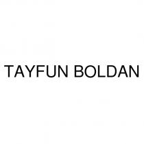 tayfun boldan