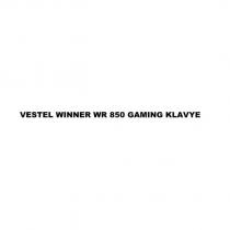 vestel winner wr 850 gaming klavye