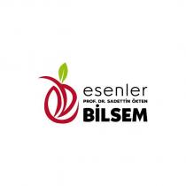 esenler prof.dr.sadettin ökten bilsem