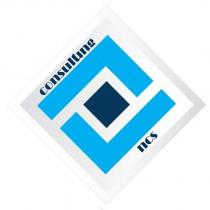 ncs consultıng