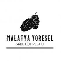 malatya yöresel dut pestili