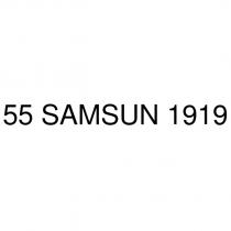 55 samsun 1919
