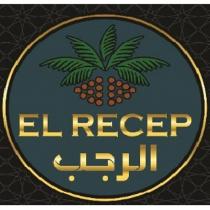 el recep