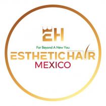 eh for beyond a new you esthetic hair mexico