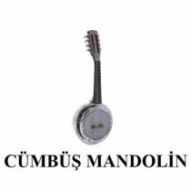 cümbüş mandolin