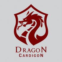 dragon cardigon