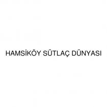 hamsiköy sütlaç dünyası