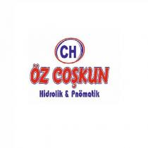 ch özçoşkun hidrolik & pnömatik