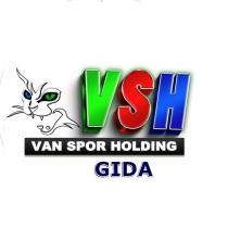 vsh gıda van spor holding