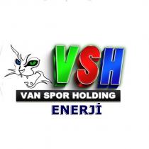 vsh enerji van spor holding