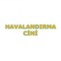 havalandırma cini