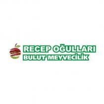 şükrü bey recep oğulları bulut meyvecilik