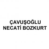 çavuşoğlu necati bozkurt
