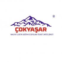 çokyaşar nakliyat lojistik dağıtım ve depolama ticaret limited şirketi