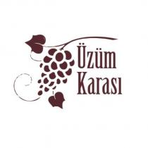 üzüm karası