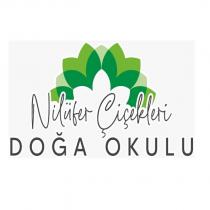 nilüfer çiçekleri doğa okulu