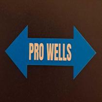 pro wells