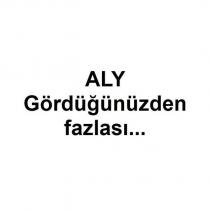 aly gördüğünüzden fazlası.