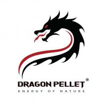 dragon pellet energy of nature