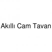 akıllı cam tavan